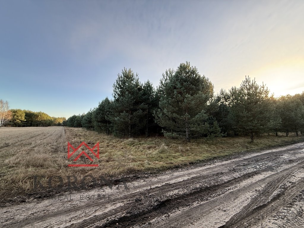 Działka rolna 6 462 m² w Olchówce – idealna pod inwestycję Olchówka  6 464m2 Foto 1