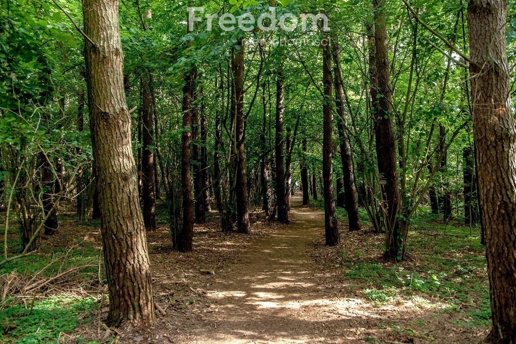 Mieszkanie dwupokojowe na sprzedaż Grzybowo, Nadmorska  30m2 Foto 17