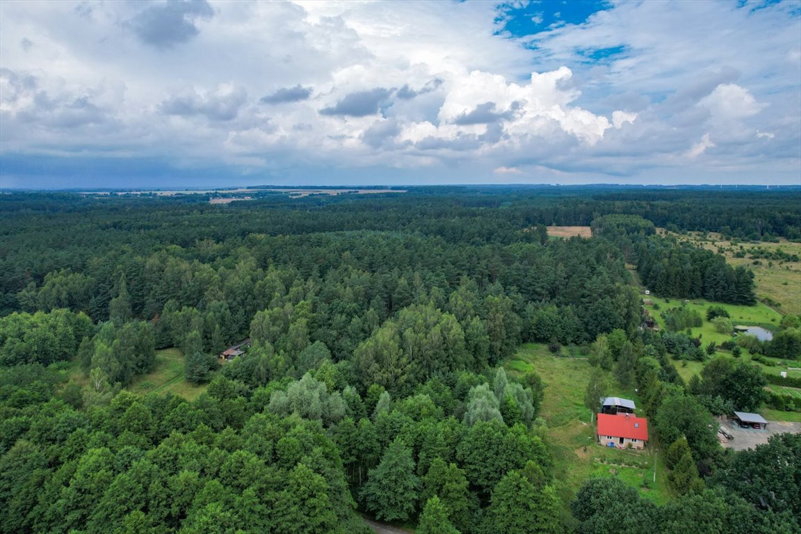 Działka budowlana na sprzedaż Niewierowo, Niewierowo  1 573m2 Foto 3