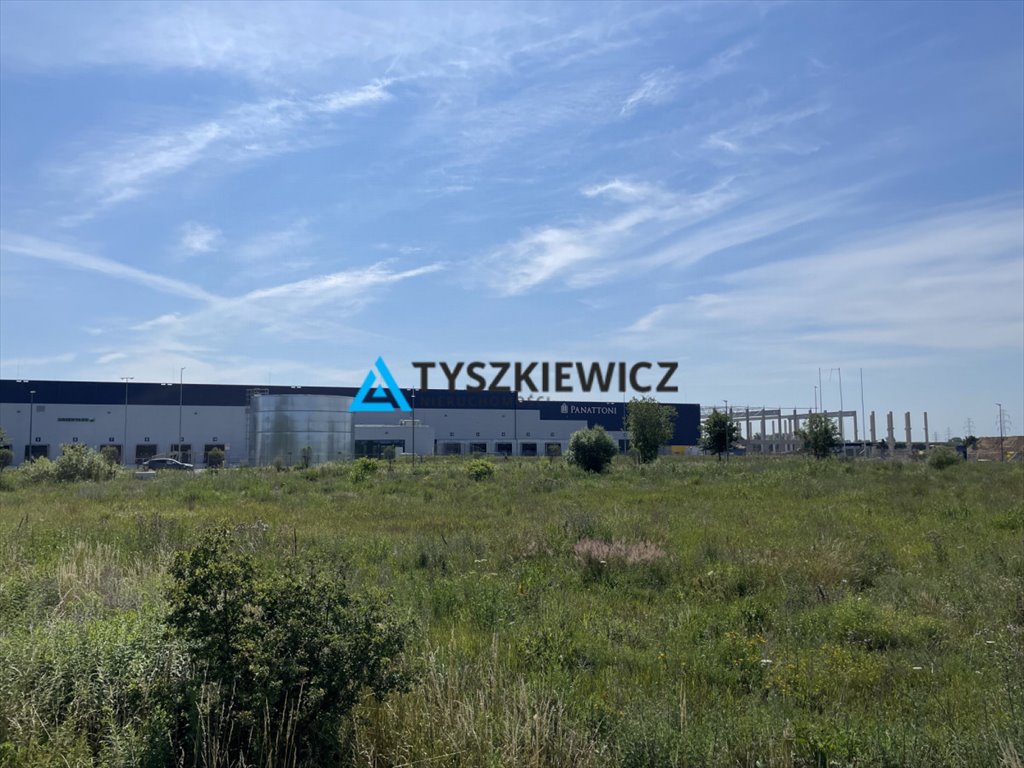 Działka przemysłowo-handlowa na sprzedaż Przejazdowo, Tama Pędzichowska  11 833m2 Foto 1
