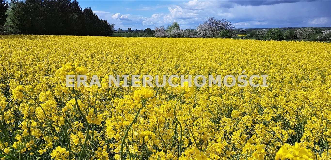 Działka inna na sprzedaż Wielki Lubień  12 600m2 Foto 1