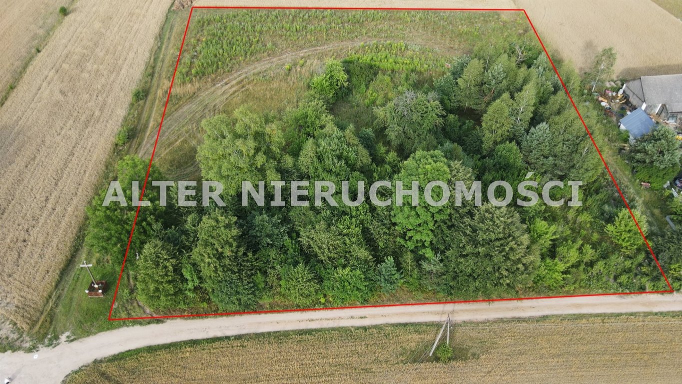 Działka rolna na sprzedaż Wierzchlesie, Brzozowy Hrud  8 300m2 Foto 3