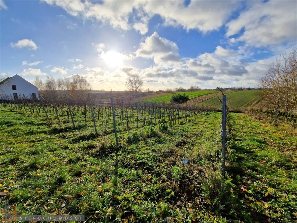 Działka inna na sprzedaż Cianowice Małe  3 000m2 Foto 5