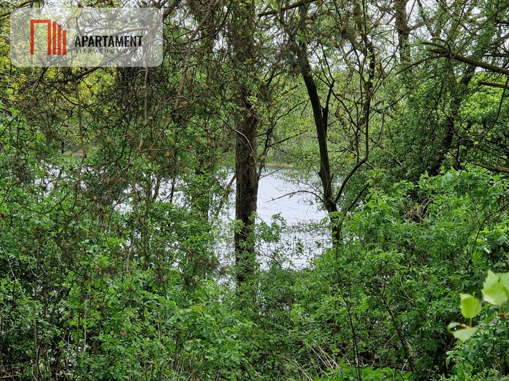 Działka rekreacyjna na sprzedaż Wiewiórczyn  3 001m2 Foto 4