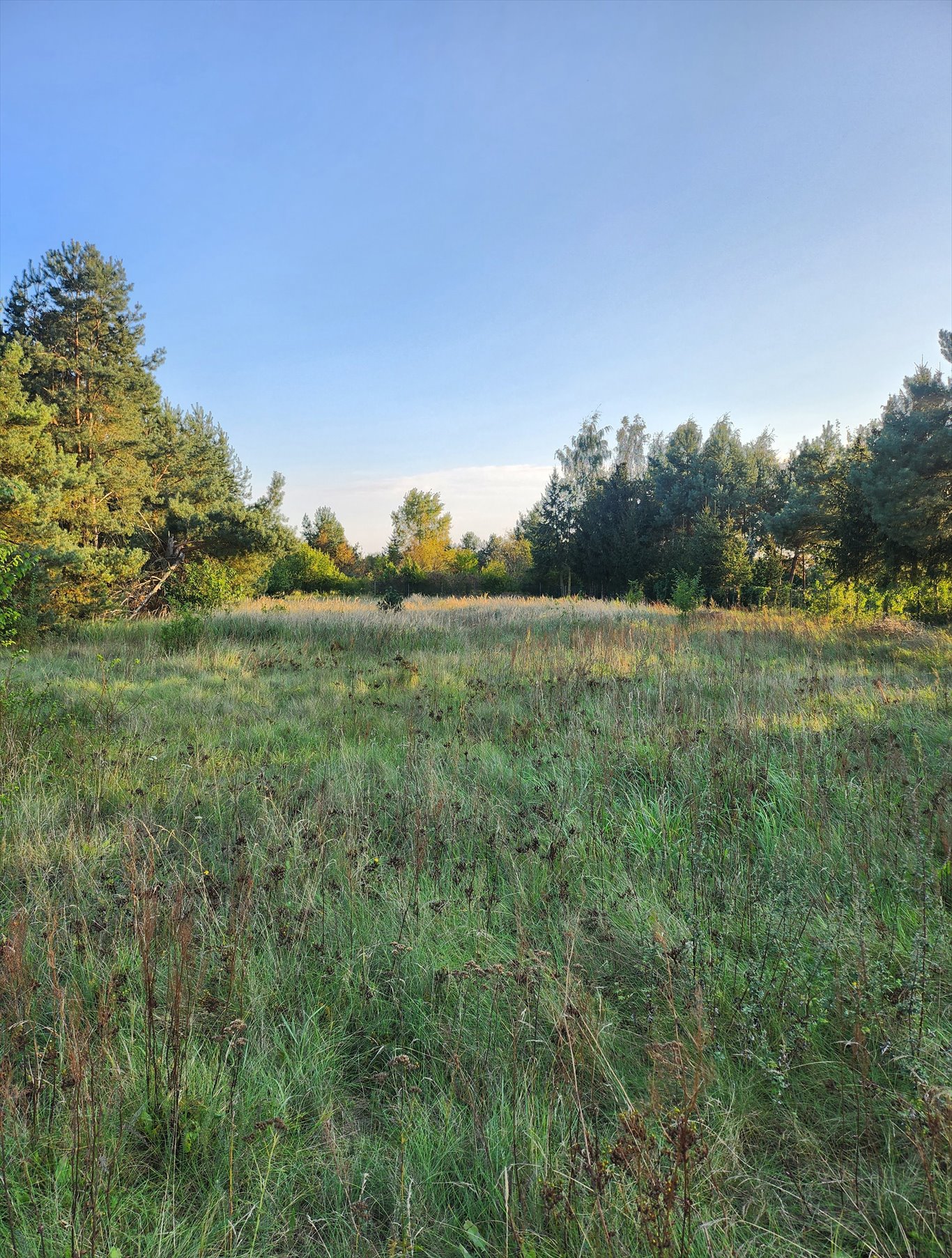 Działka budowlana na sprzedaż Przybyszewo, Henrykowska  2 548m2 Foto 8