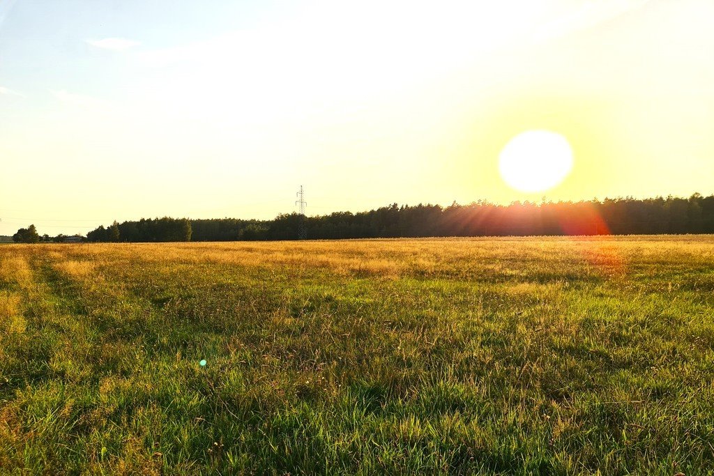 Działka siedliskowa na sprzedaż Zuzułka  9 900m2 Foto 1