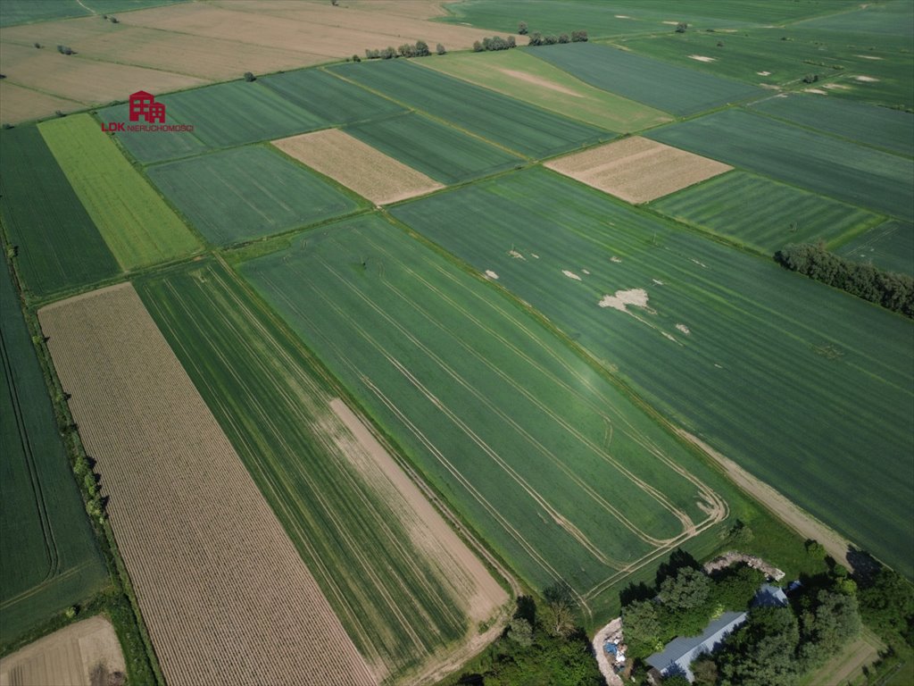 Działka siedliskowa na sprzedaż Gdańsk, Sobieszewo, Przegalińska  30 600m2 Foto 10