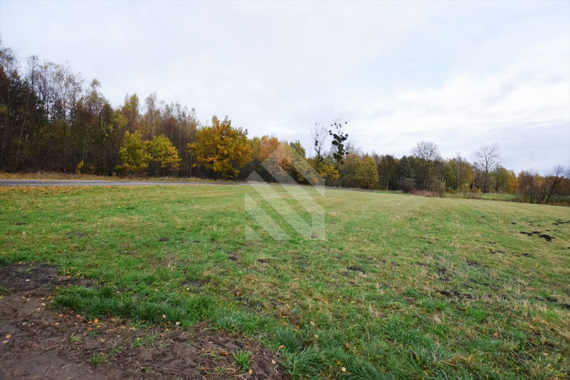 Działka 2980 m² z mediami, las i pole, Sitno Sitno  2 980m2 Foto 1