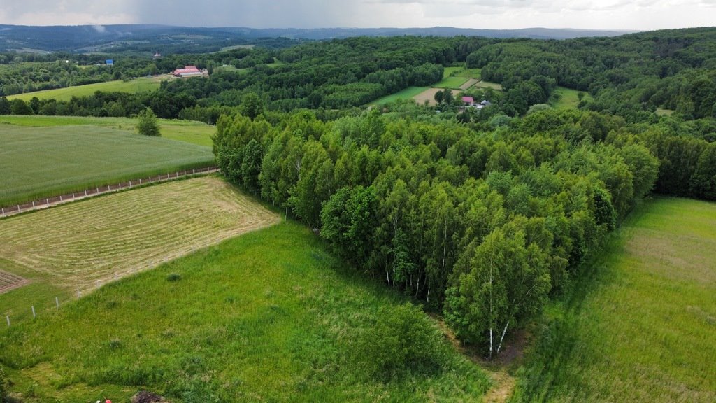 Działka inna na sprzedaż Rzeszów, Budziwój, Liliowa  2 900m2 Foto 2