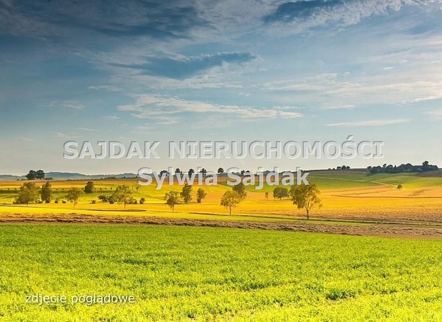 Na sprzedaż działka 4800 m² z mediami i lasem w spokojnej okolicy Jastrzębie-Zdrój, Moszczenica  4 800m2 Foto 1