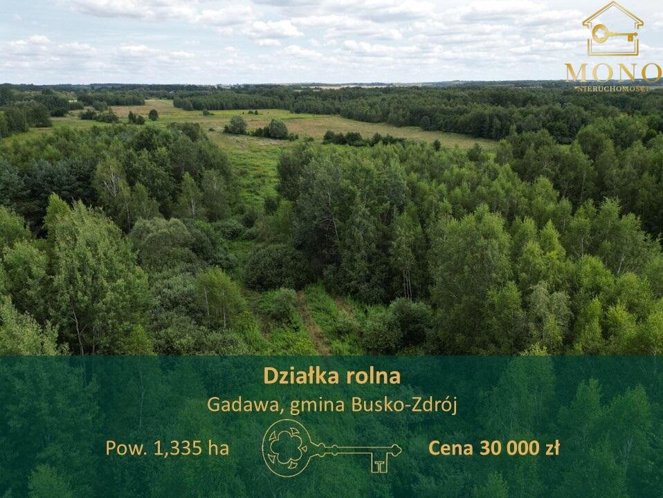 Działka rolna na sprzedaż Gadawa  13 350m2 Foto 1