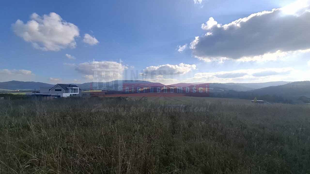 Polecam działkę 32,44a z widokiem na Góry Opawskie i Jesenik Podlesie  3 244m2 Foto 1