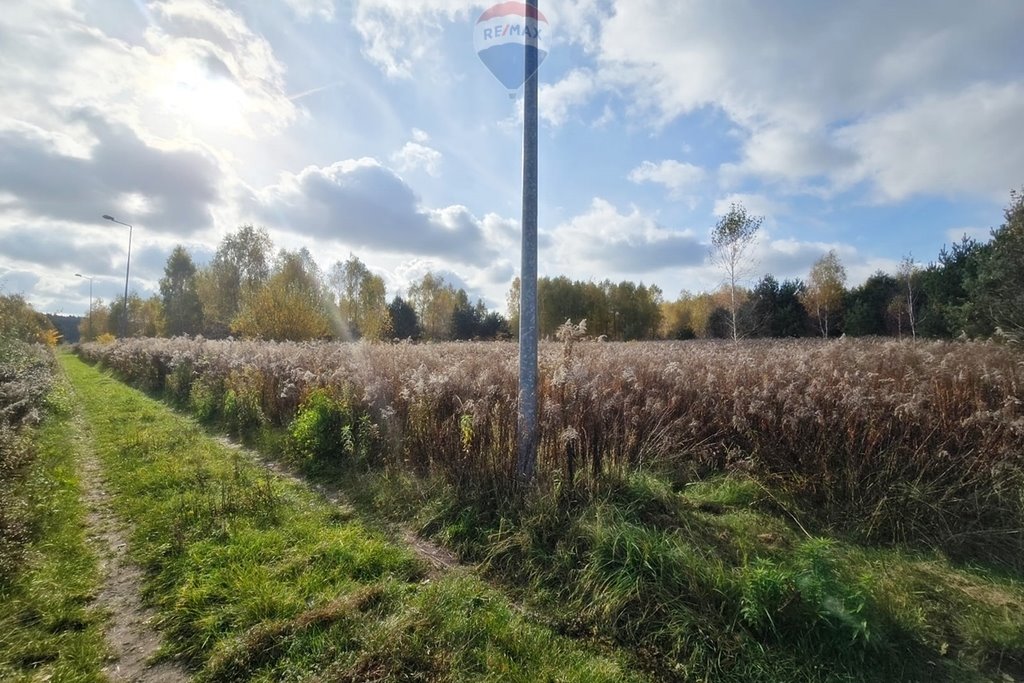 Działka budowlana na sprzedaż Klęk  4 283m2 Foto 4