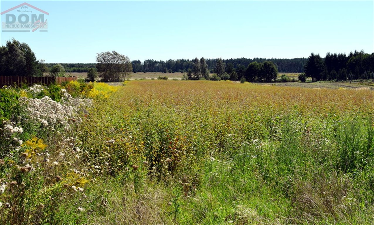 Działka inna na sprzedaż Wierzchowo, Długa  6 996m2 Foto 9