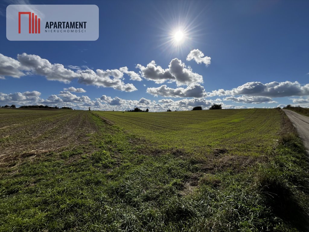 Działka gospodarstwo rolne na sprzedaż Karolewo  57 600m2 Foto 5