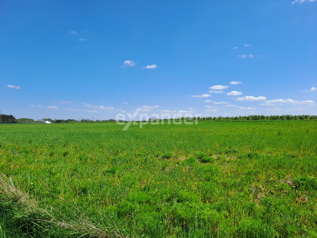 Działka budowlana na sprzedaż Biała, Biała Górna  1 000m2 Foto 1