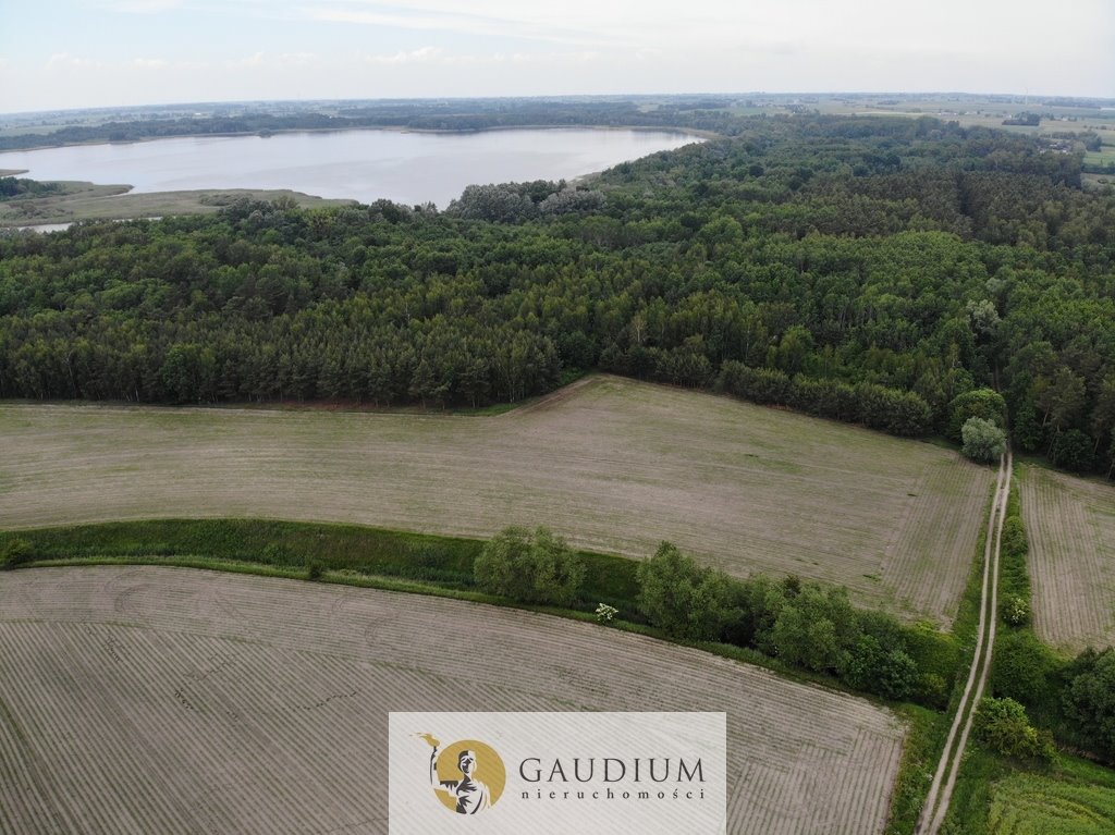 Działka inna na sprzedaż Trzciano  68 100m2 Foto 16