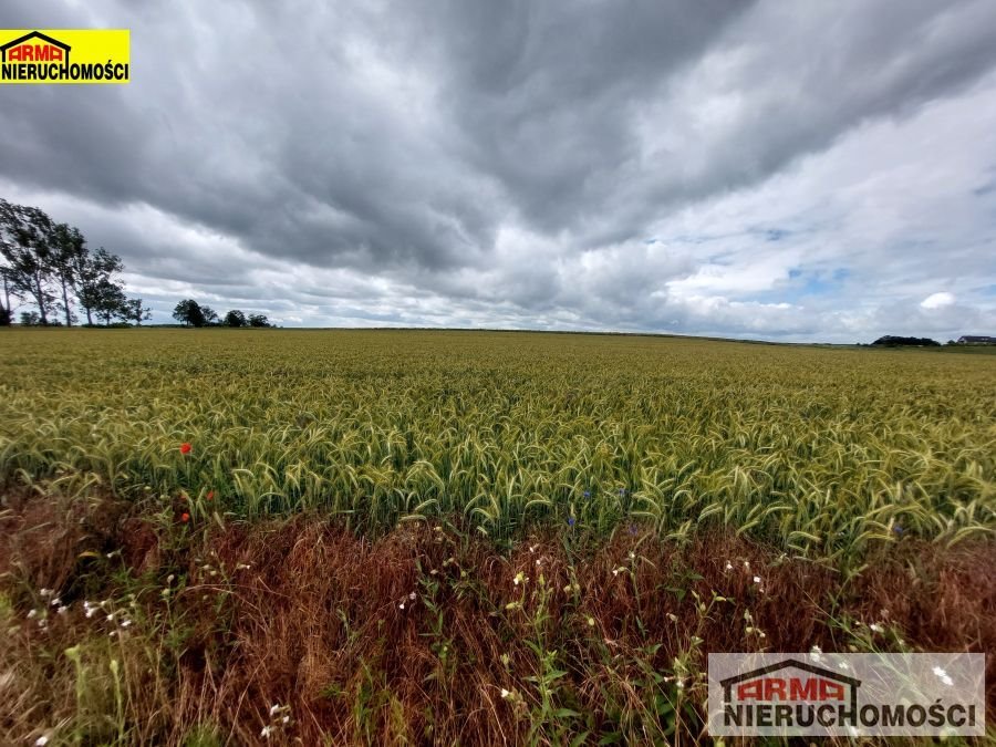 Działka inna na sprzedaż Bielkowo  32 900m2 Foto 4