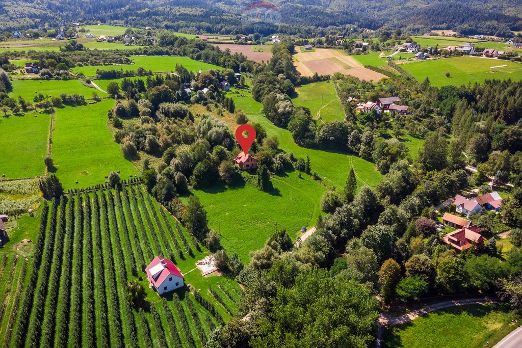 Działka budowlana na sprzedaż Pogorzany  8 711m2 Foto 4