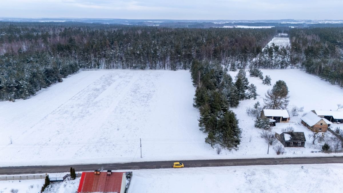 Działka budowlana na sprzedaż Koski Pierwsze  3 754m2 Foto 7