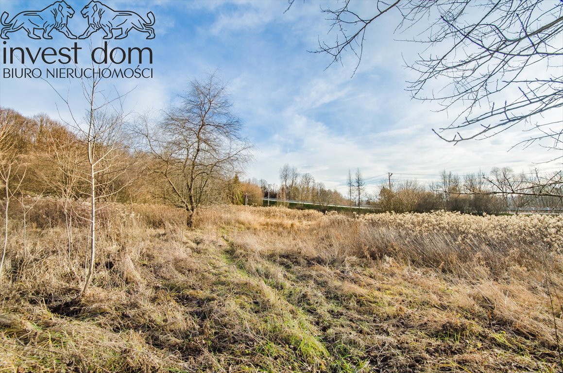 Działka rolna na sprzedaż Bączal Dolny  7 200m2 Foto 6