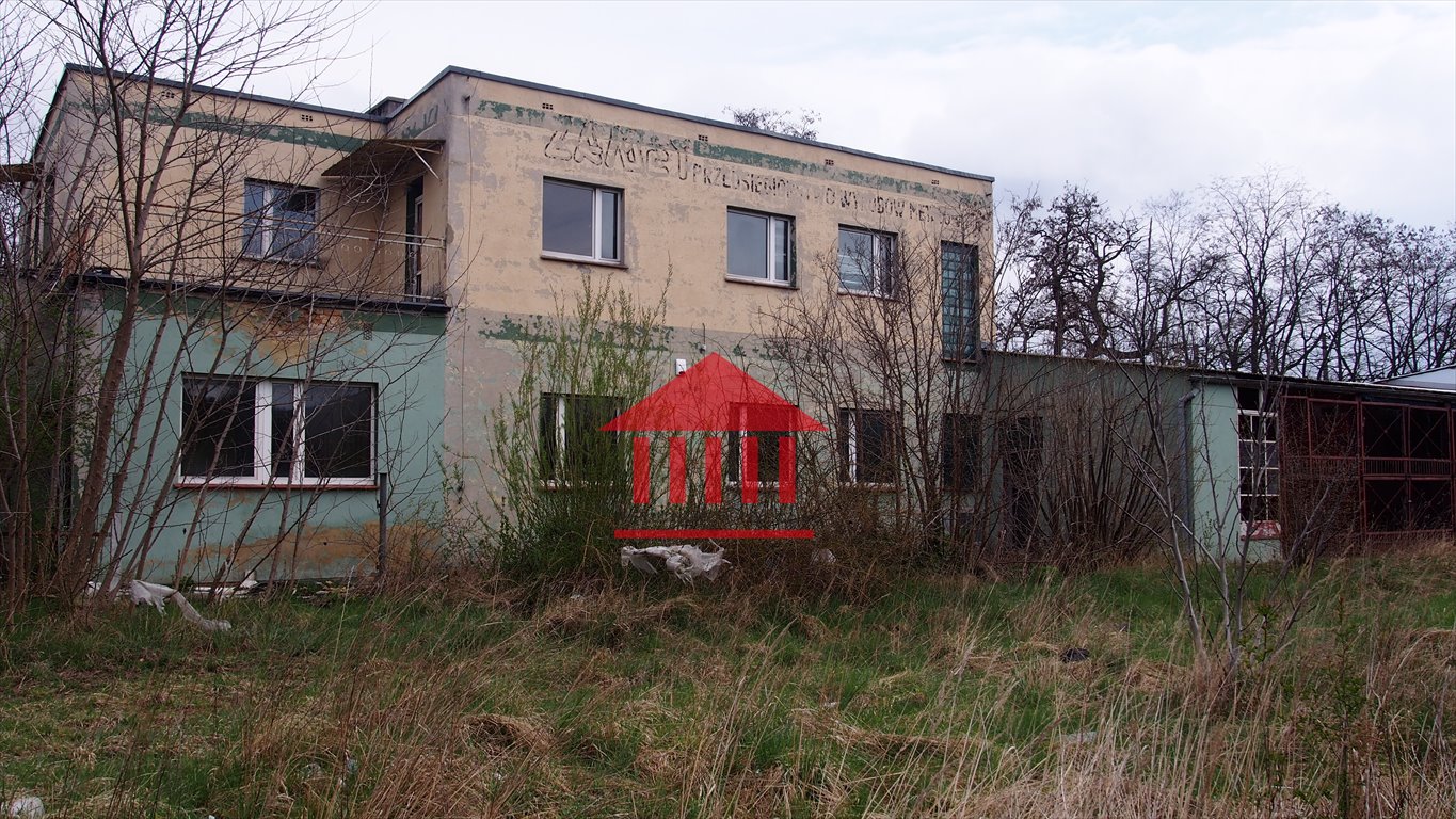 Magazyn na sprzedaż Legnica  700m2 Foto 19