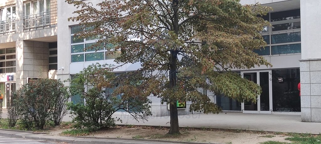 Lokal użytkowy 410 m² w Babka Tower, Śródmieście Warszawa, Śródmieście, Aleja Jana Pawła II  410m2 Foto 1