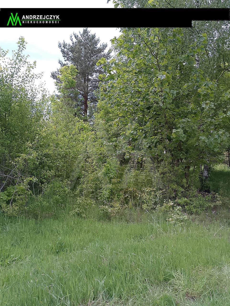 Działka budowlana 3365 m² z warunkami zabudowy i widokiem Trąbki Wielkie, brak  3 365m2 Foto 1