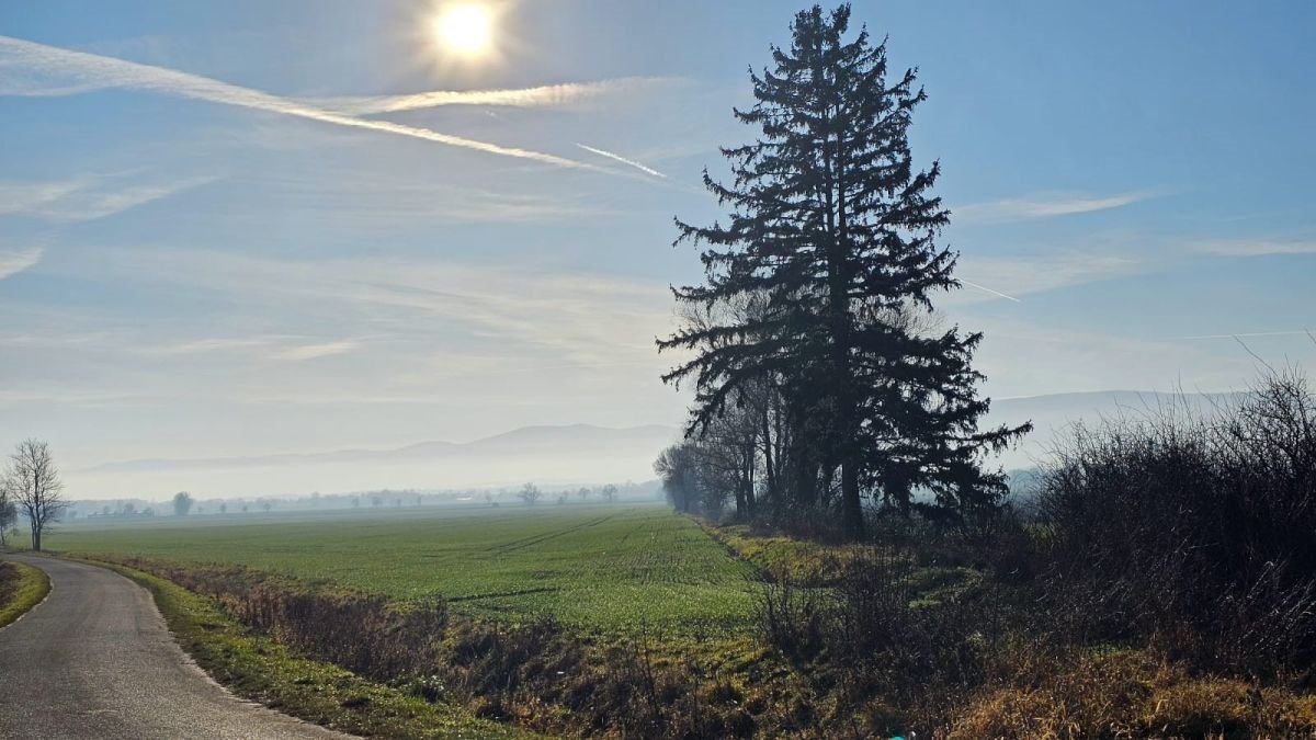 Działka budowlana na sprzedaż Książnica  1 200m2 Foto 5