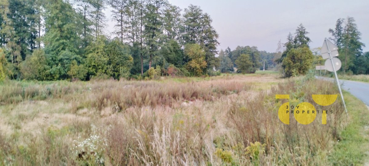 Działka budowlana na sprzedaż Oleksianka  2 966m2 Foto 1