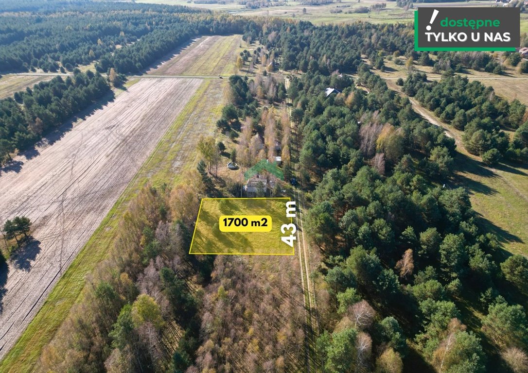 Działka rekreacyjna na sprzedaż Dąbek  1 700m2 Foto 3