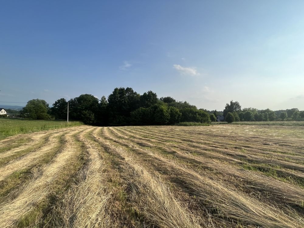 Działka budowlana na sprzedaż Byszyce  5 687m2 Foto 1