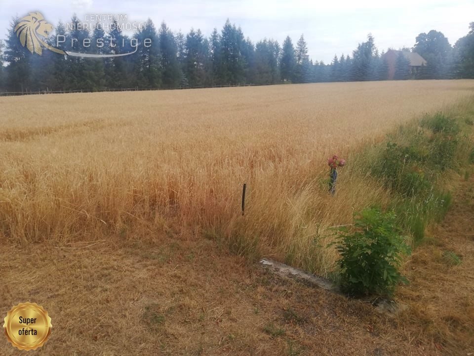 Działka budowlana na sprzedaż Biskupice, Biskupskie Drogi  1 353m2 Foto 3