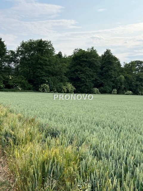 Działka budowlana na sprzedaż Borkowice, Borkowice  3 000m2 Foto 2