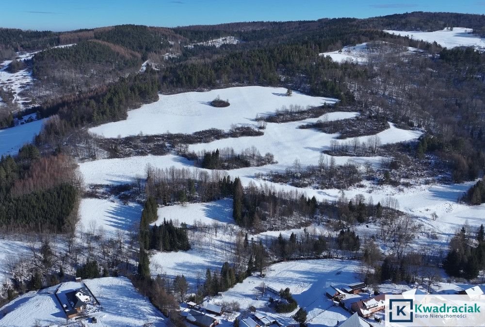 Działka inwestycyjna na sprzedaż Stężnica  102 500m2 Foto 9