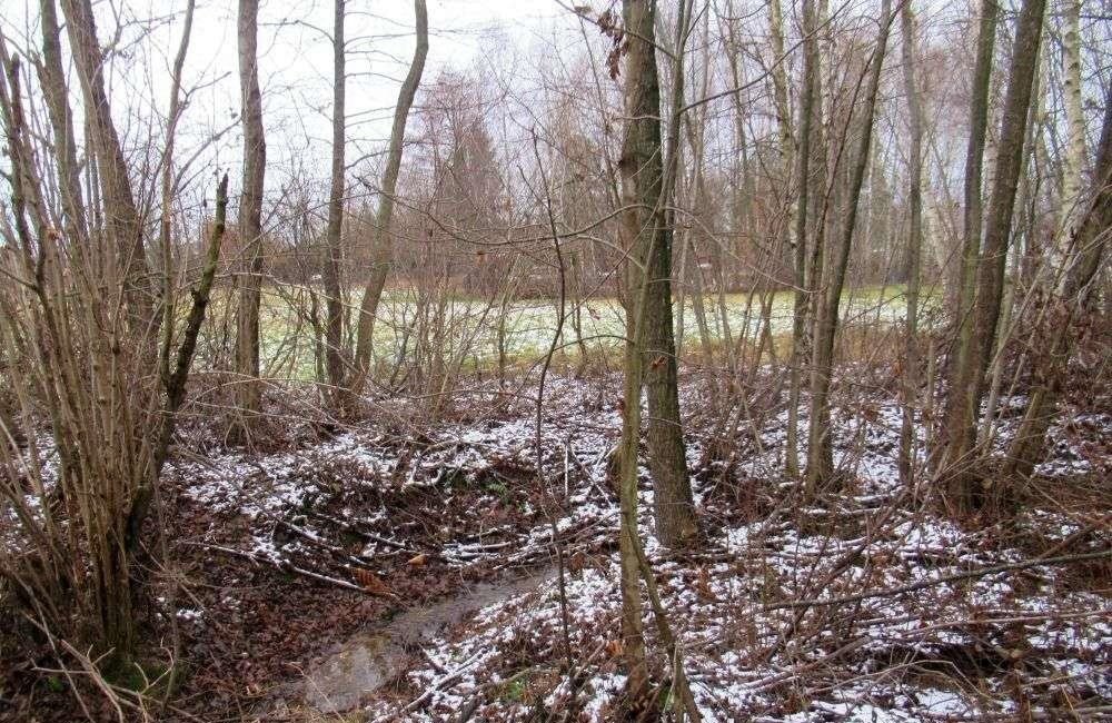 Działka budowlana na sprzedaż Ciekoty  2 900m2 Foto 4