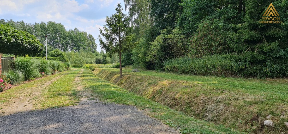 Działka rolna na sprzedaż Gąba  17 400m2 Foto 5