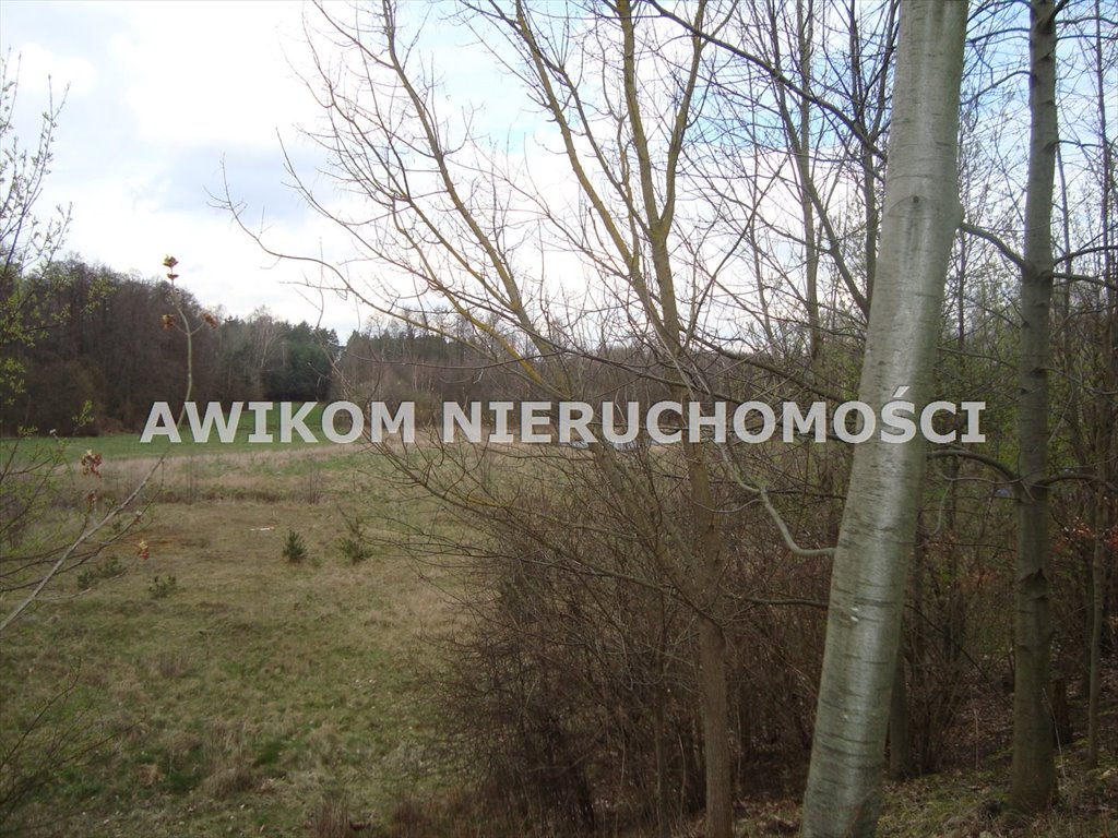 Działka inna na sprzedaż Pieńki Zarębskie  10 300m2 Foto 1