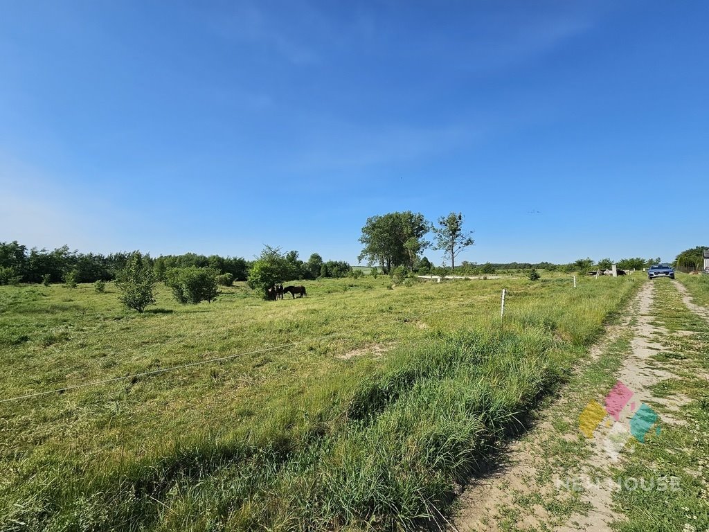 Działka budowlana na sprzedaż Elgnówko  3 901m2 Foto 5