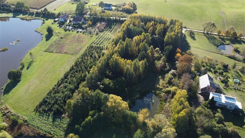 Działka inna na sprzedaż Trąbki Małe, Makowa  11 000m2 Foto 4