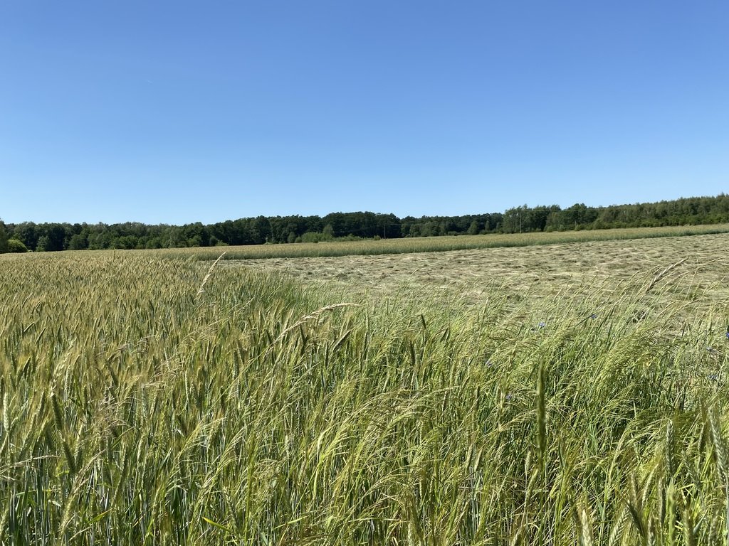 Działka inna na sprzedaż Opole, Grudzice  2 600m2 Foto 1