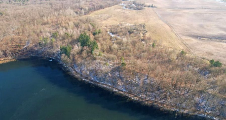 Działka rolna na sprzedaż Kołomąt  3 100m2 Foto 6