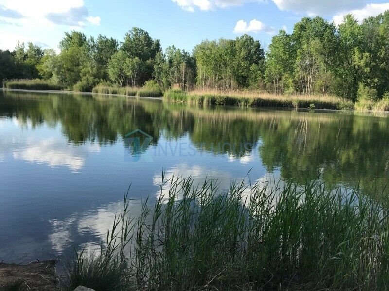 Działka budowlana na sprzedaż Konstancin-Jeziorna  1 200m2 Foto 3