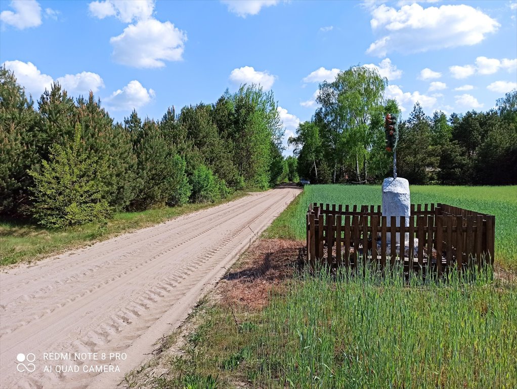 Działka rolna na sprzedaż Zielona  30 000m2 Foto 1