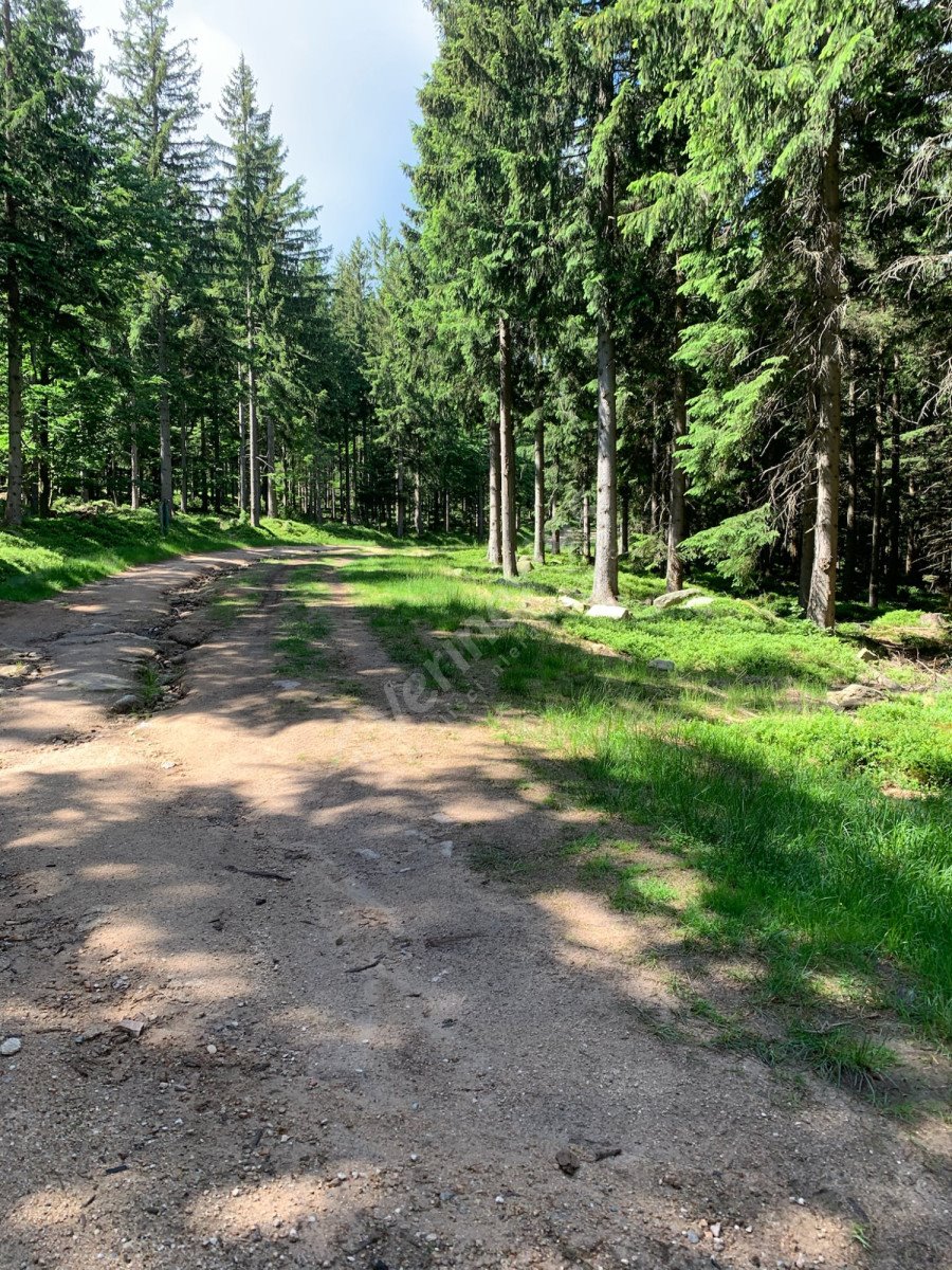 Kawalerka na sprzedaż Szklarska Poręba  21m2 Foto 7