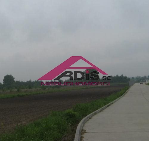 Działka inna na sprzedaż Sokołów  11 700m2 Foto 1