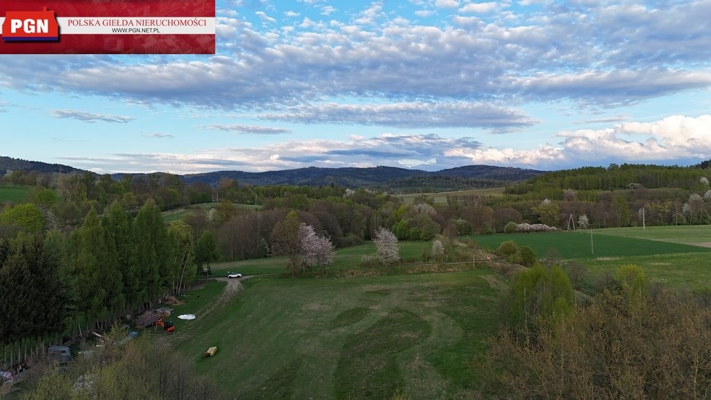 Działka budowlana na sprzedaż Radochów  11 600m2 Foto 1