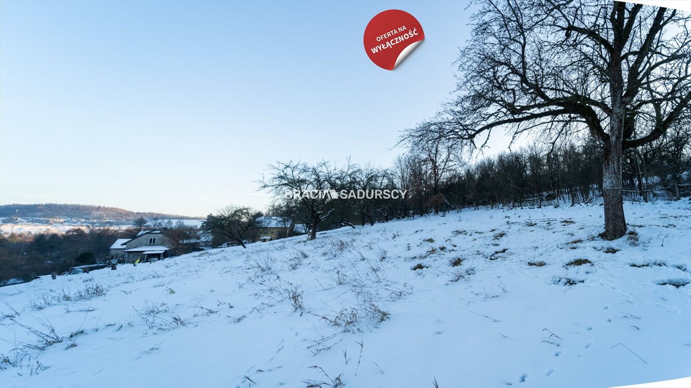 Działka budowlana na sprzedaż Czerna  3 600m2 Foto 13