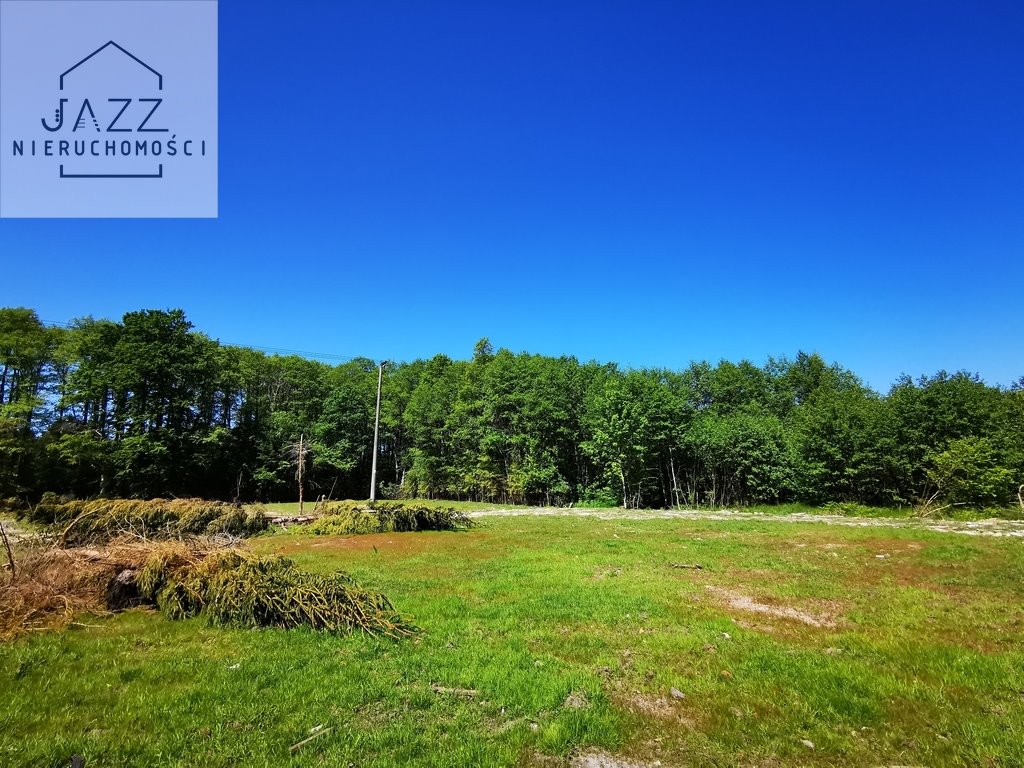 Działka inwestycyjna 9153 m² z lasem i mediami - zapraszam Sasino  9 153m2 Foto 1