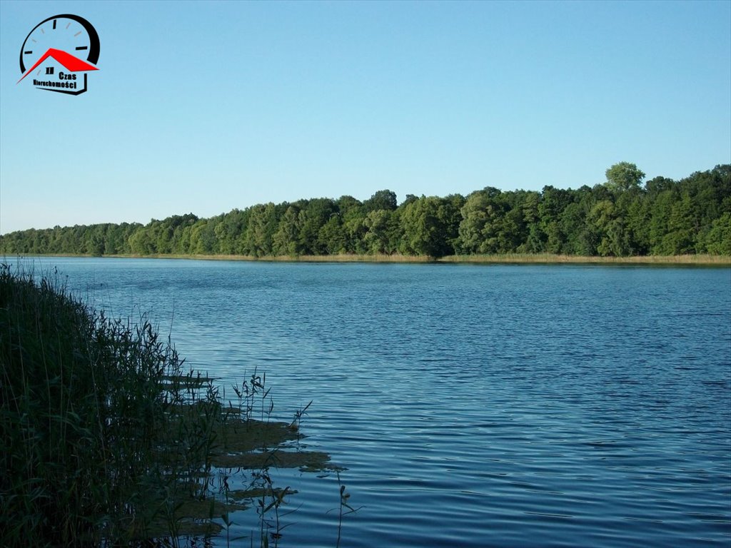 Działka budowlana na sprzedaż Skórki  1 560m2 Foto 7